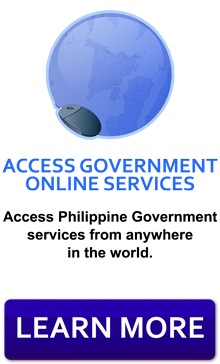 Access Government Services Online